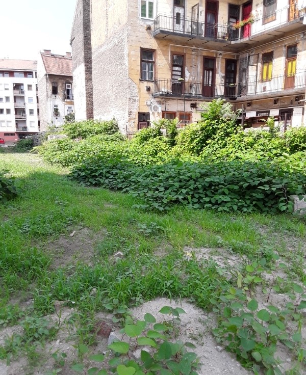 Nagy Fuvaros utca 3/A